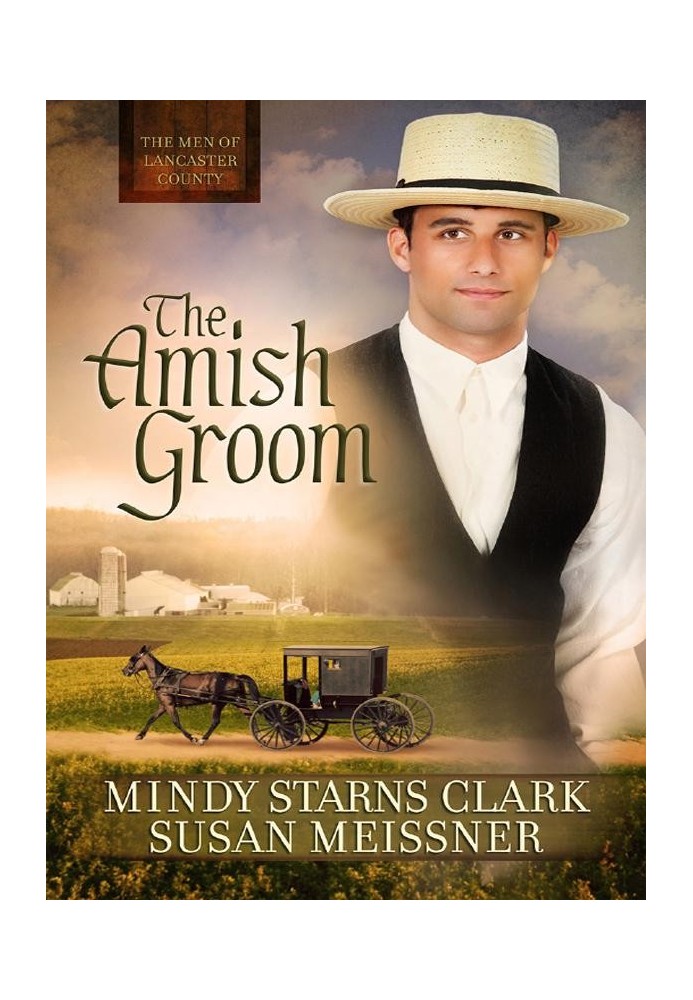 The Amish Groom