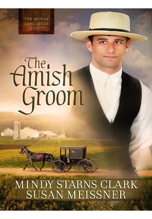 The Amish Groom