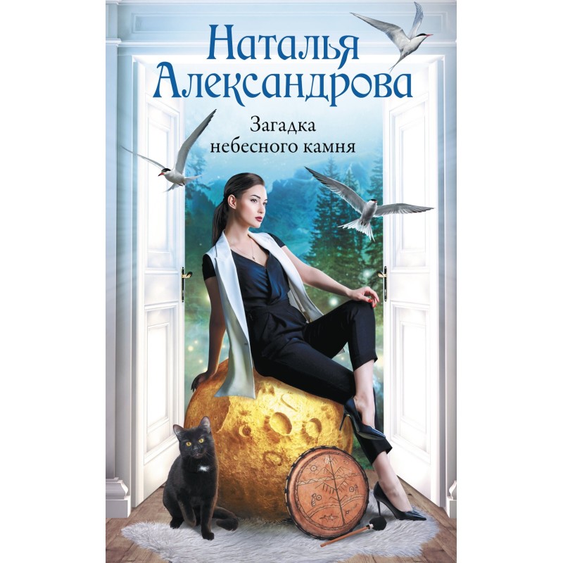 The Mystery of the Sky Stone