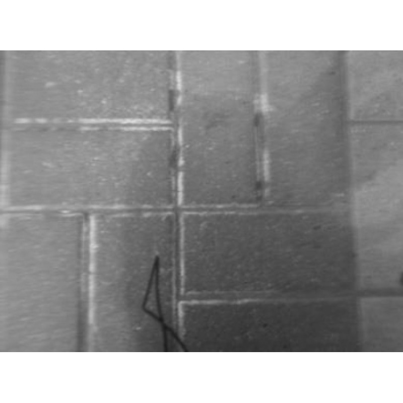 Lady with the Fuhrer on her...