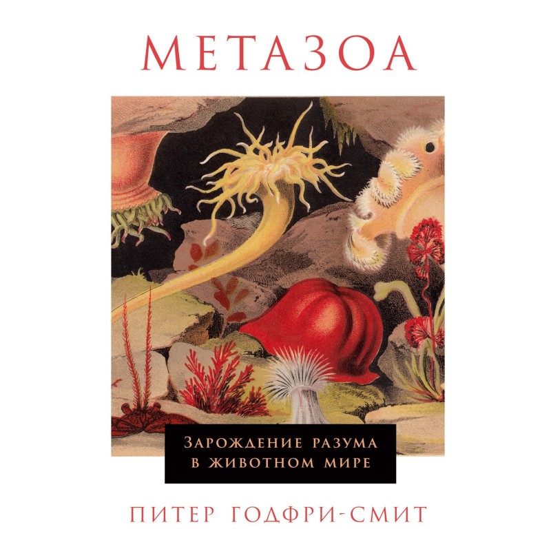 Metazoa. The Origin of...