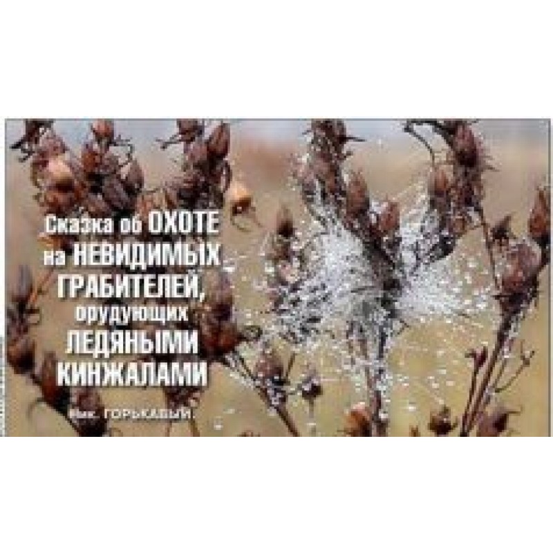 A tale of the hunt for...