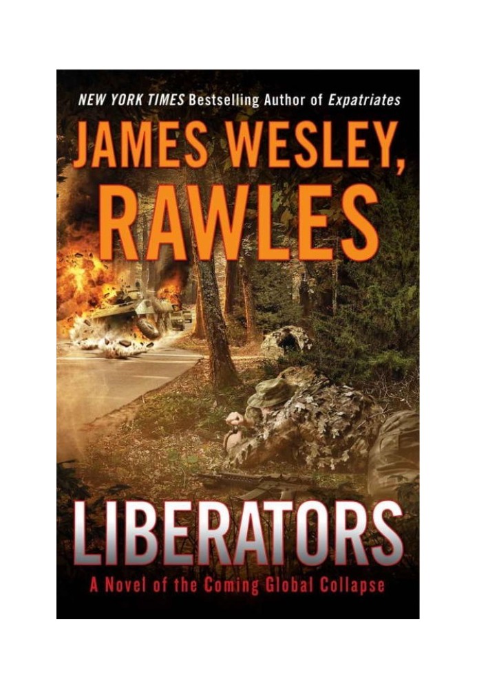 Liberators: A Novel of the Coming Global Collapse