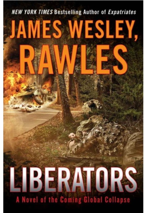 Liberators: A Novel of the Coming Global Collapse