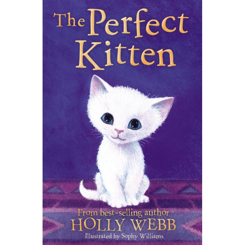 The Perfect Kitten