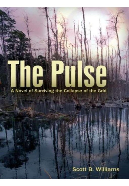 The Pulse