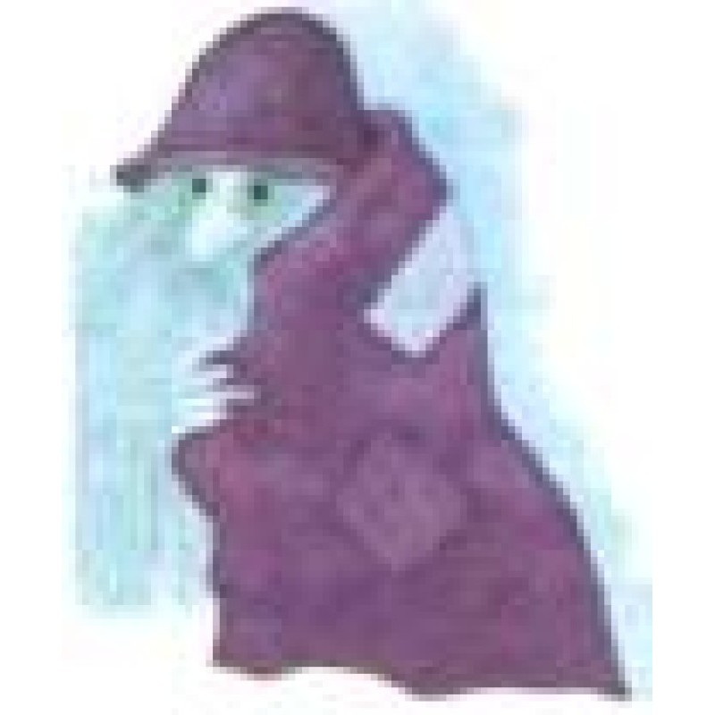 A Tale of Two Sorcerers