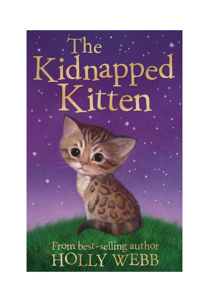 The Kidnapped Kitten