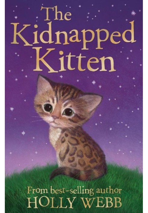 The Kidnapped Kitten