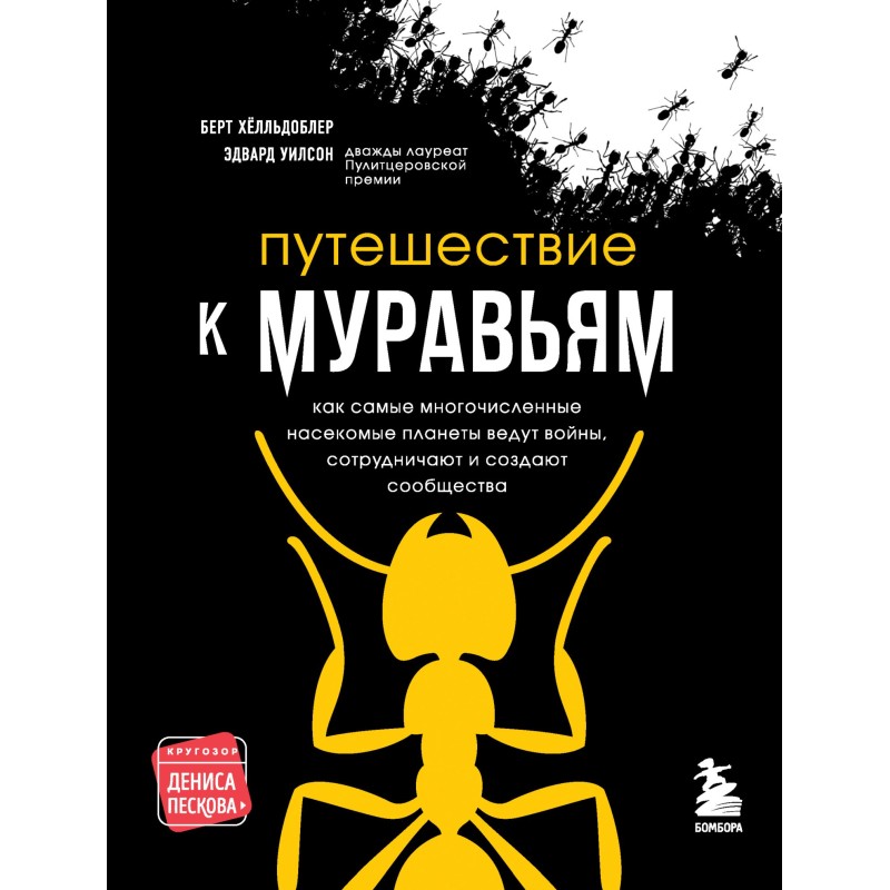 Journey to the Ants
