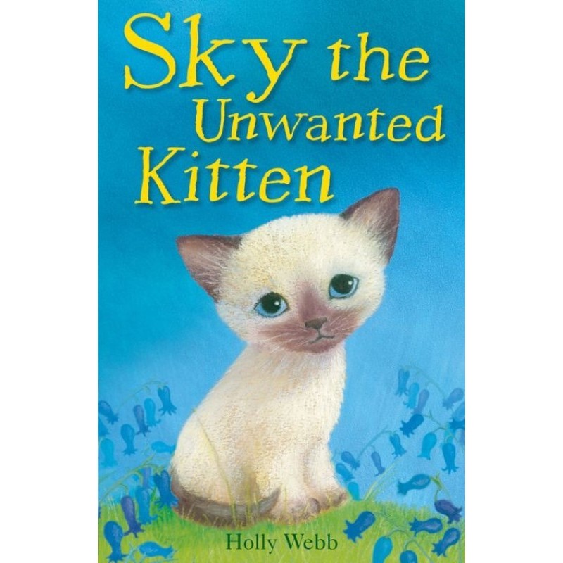 Sky The Unwanted Kitten