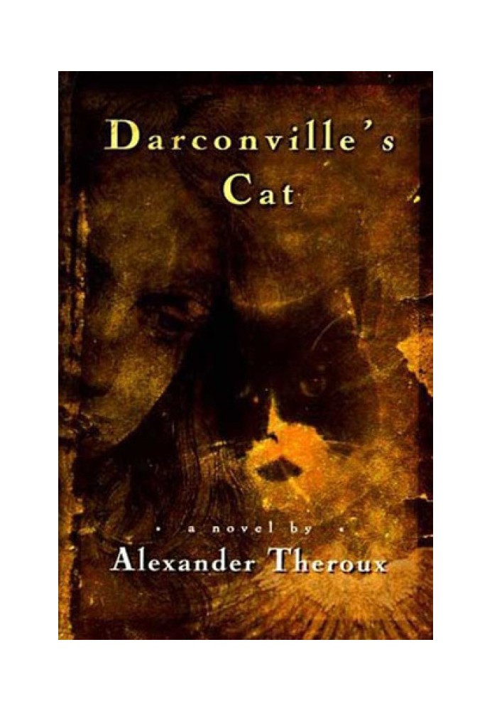 Darconville’s Cat