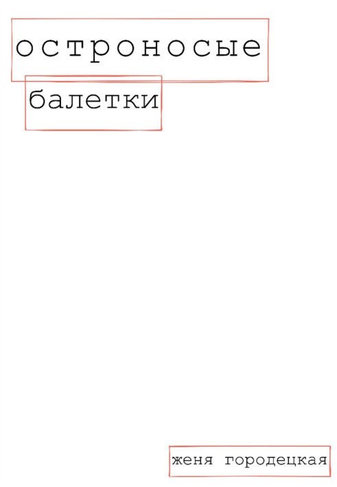 Гостроносі балетки