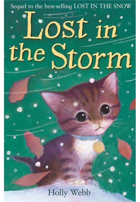 Lost In The Storm