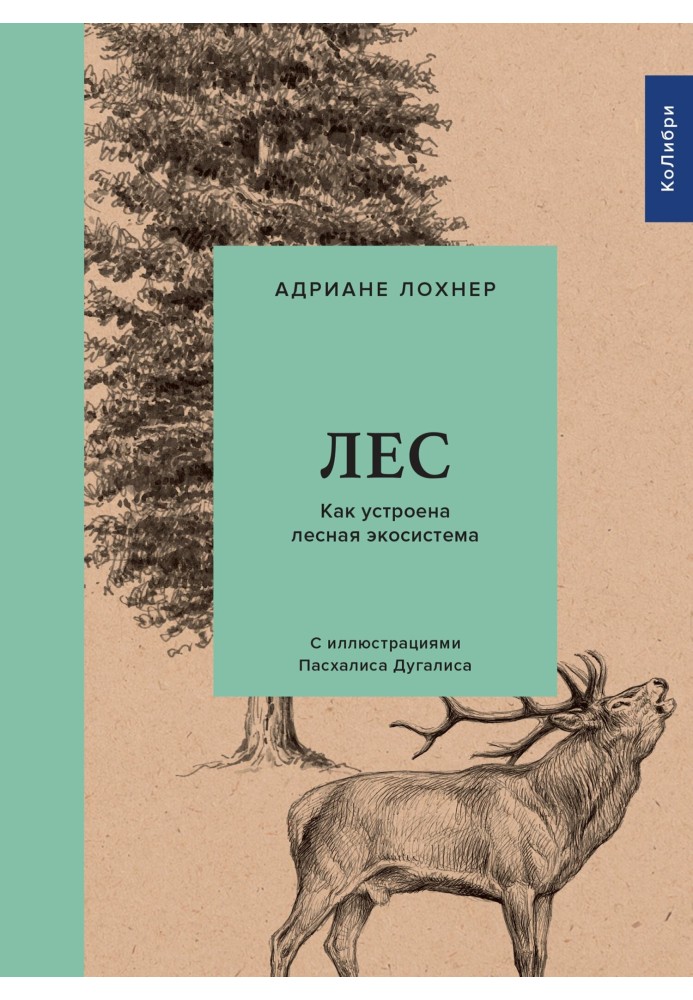 Ліс. Як влаштована лісова екосистема