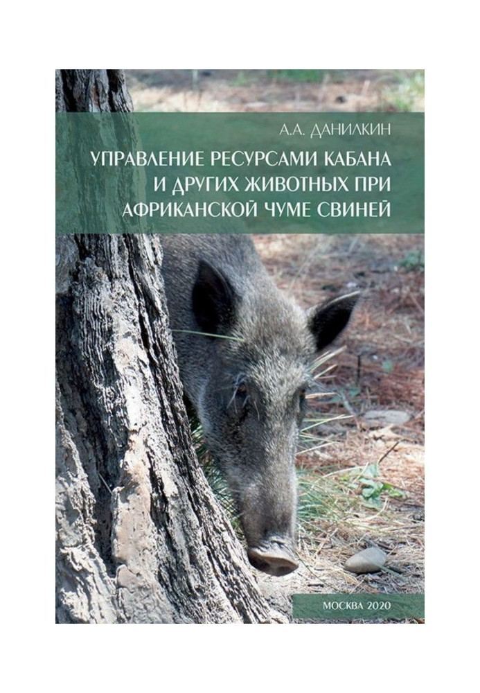 Управління ресурсами кабана та інших тварин при африканській чумі свиней