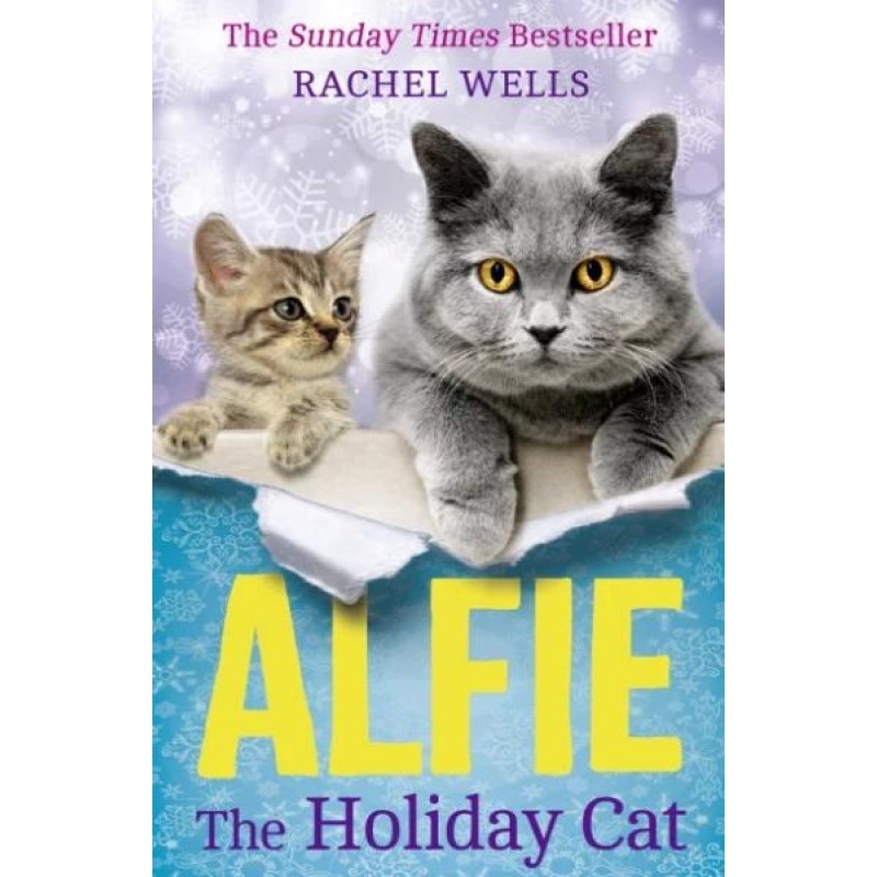 Alfie The Holiday Cat....