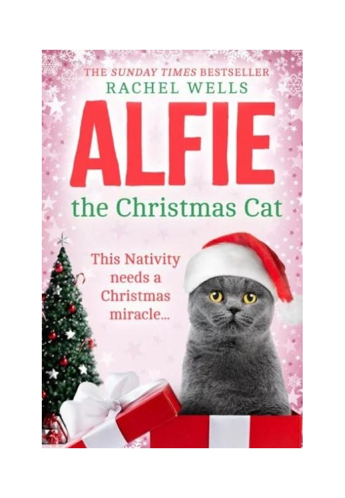 Alfie The Christmas Cat