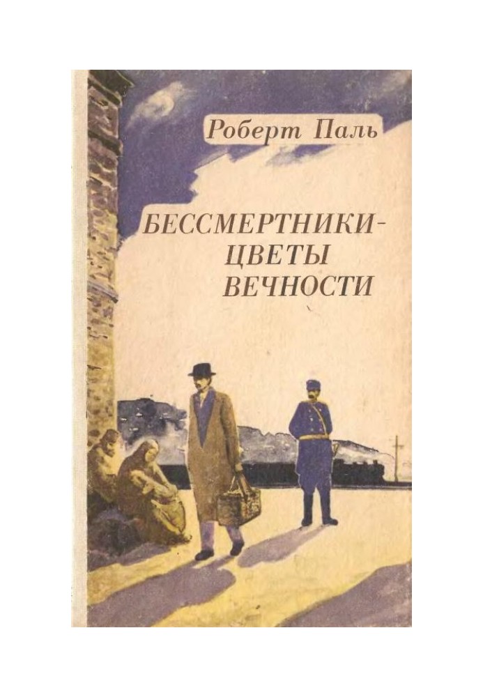 Безсмертники — квіти вічності