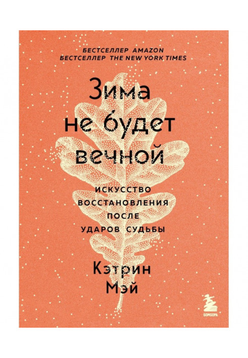 Зима не буде вічною. Мистецтво відновлення після ударів долі