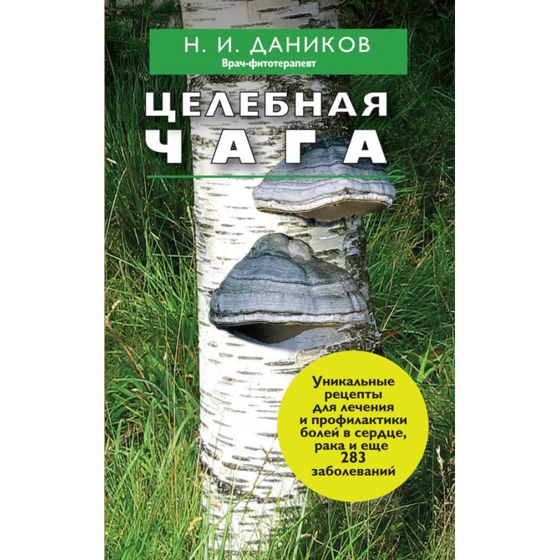 Целебная чага