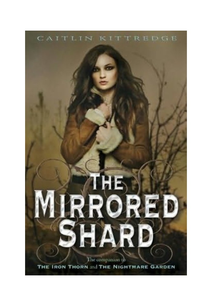 The Mirrored Shard