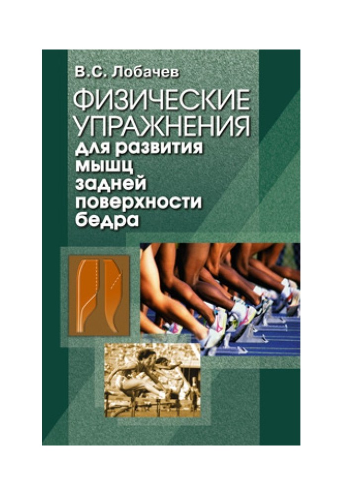 Физические упражнения для развития мышц задней поверхности бедра