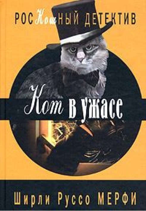 Кот в ужасе