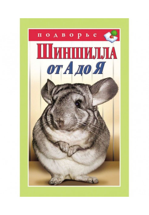 Chinchilla from And to I