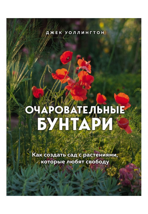 Чарівні бунтарі. Як створити сад з рослинами, які люблять свободу