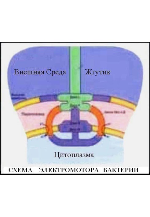 Оновлення від 30 серпня 2003 року