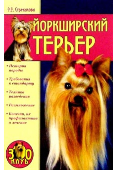 Yorkshire Terrier