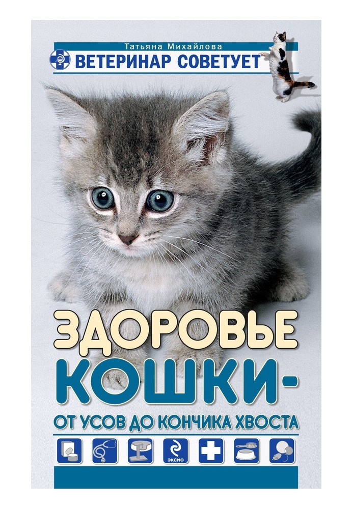 Здоров'я кішки від вусів до кінчика хвоста