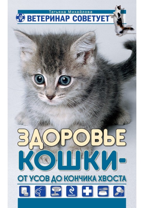 Здоров'я кішки від вусів до кінчика хвоста