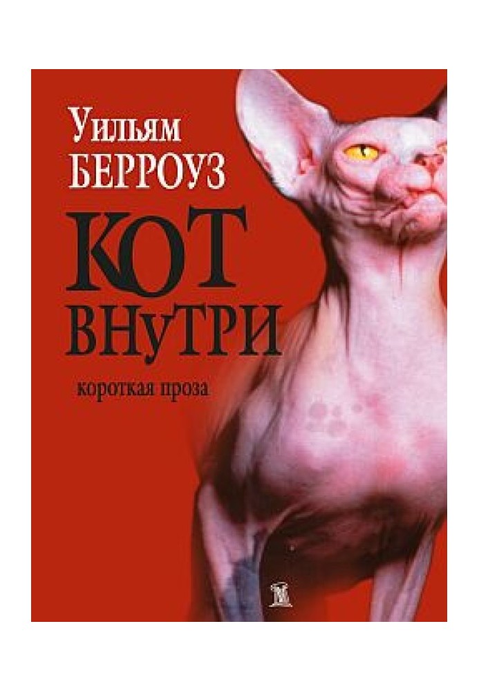 Кот внутри