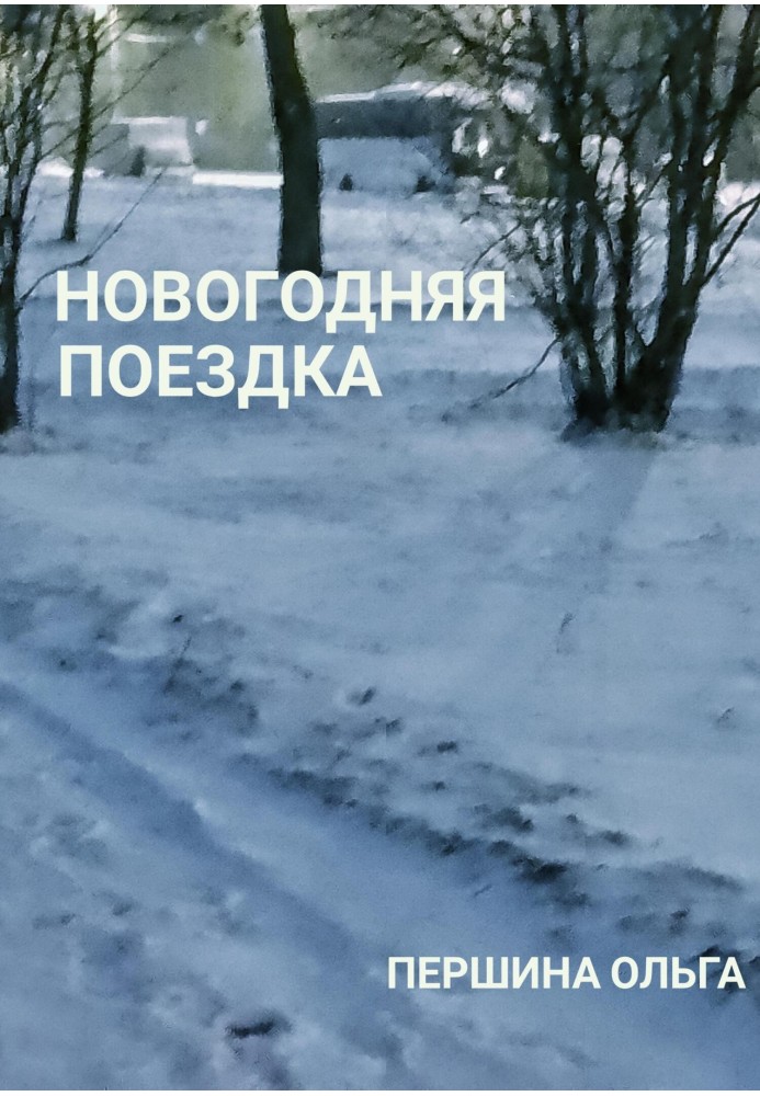 Новорічна поїздка