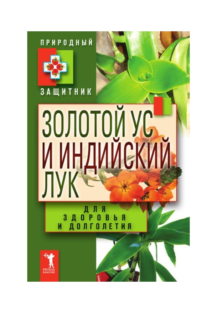 Золотий вус та індійська цибуля для здоров'я та довголіття