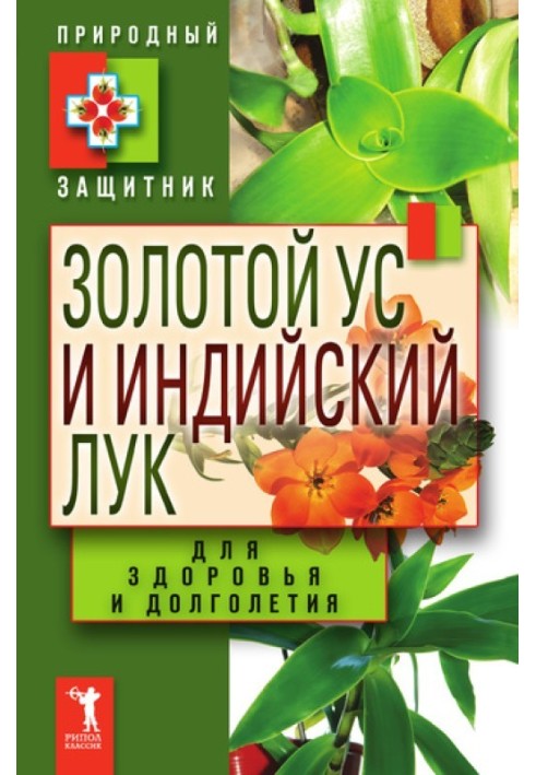 Золотий вус та індійська цибуля для здоров'я та довголіття