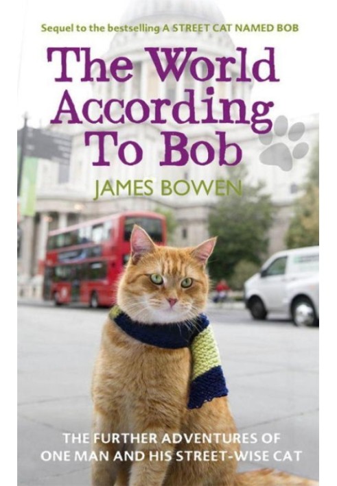 Світ за словами Боба: Подальші пригоди однієї людини та його вуличного кота