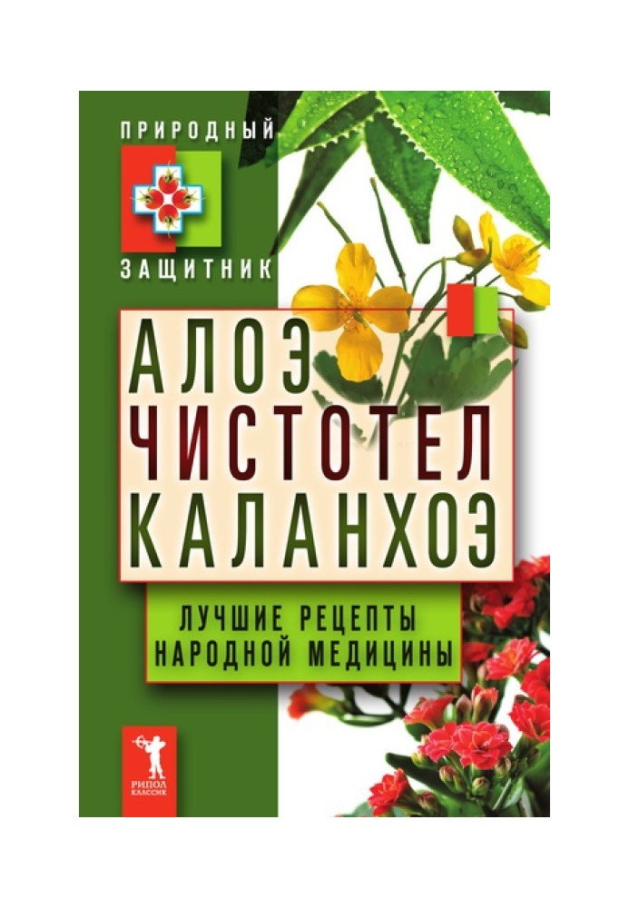 Алое, чистотіл, каланхое. Найкращі рецепти народної медицини