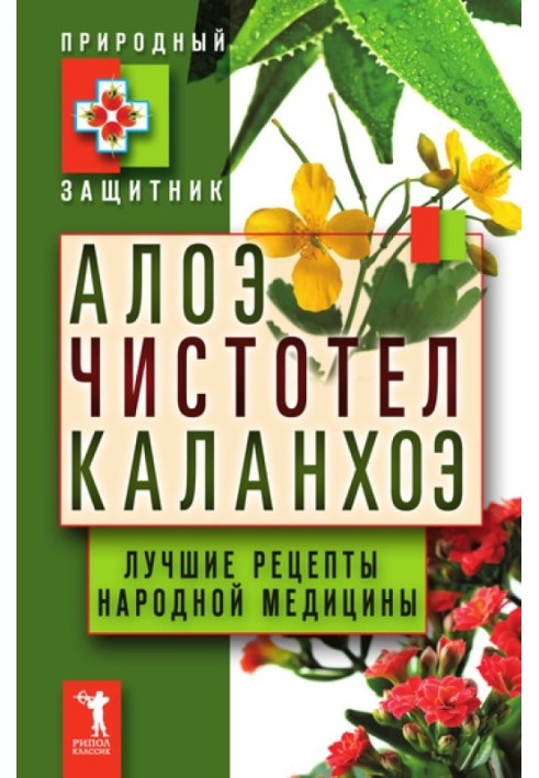 Алое, чистотіл, каланхое. Найкращі рецепти народної медицини