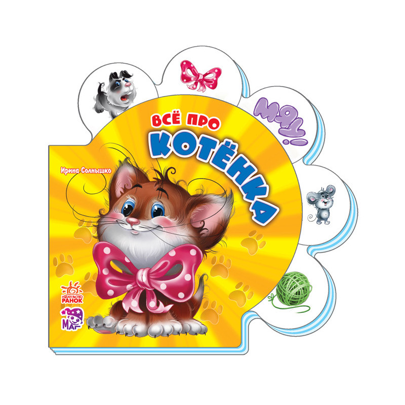 Всё про котёнка