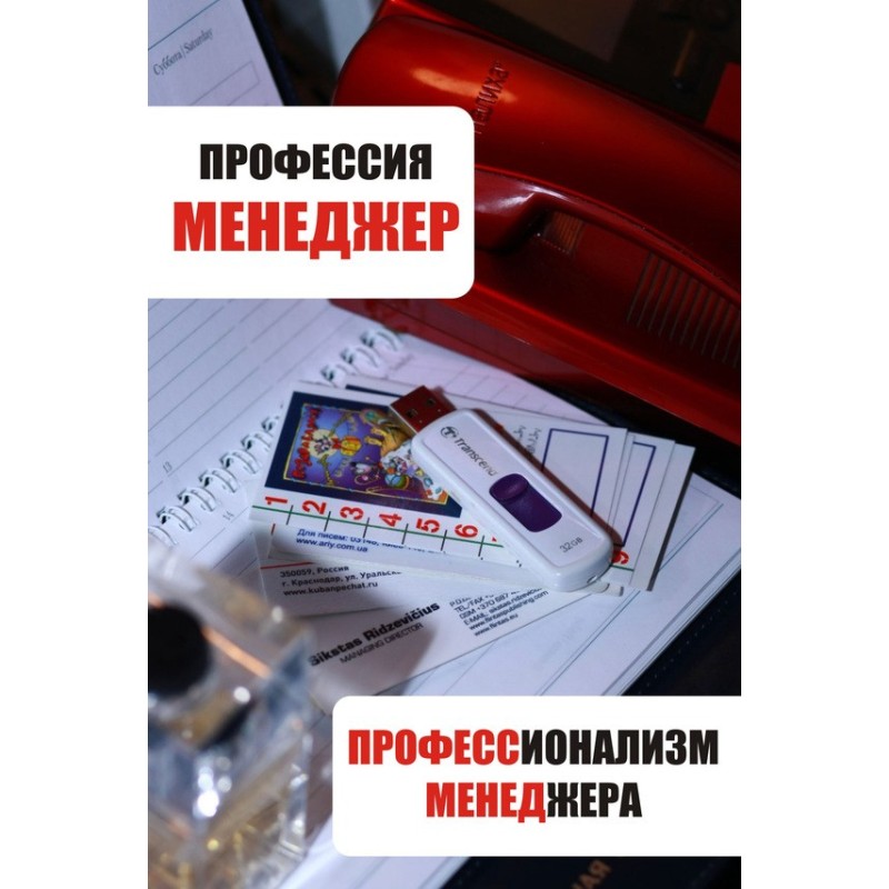 Manager's professionalism