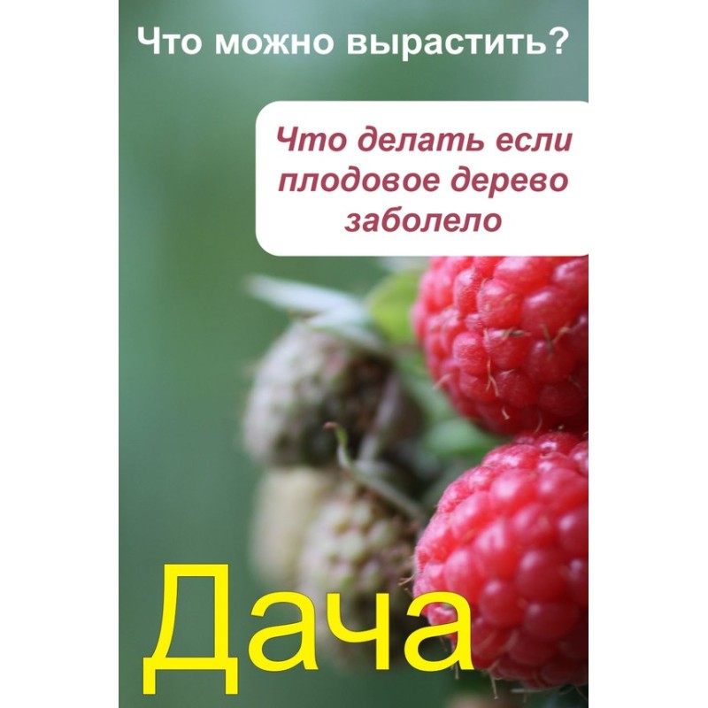 What can you grow? What to...