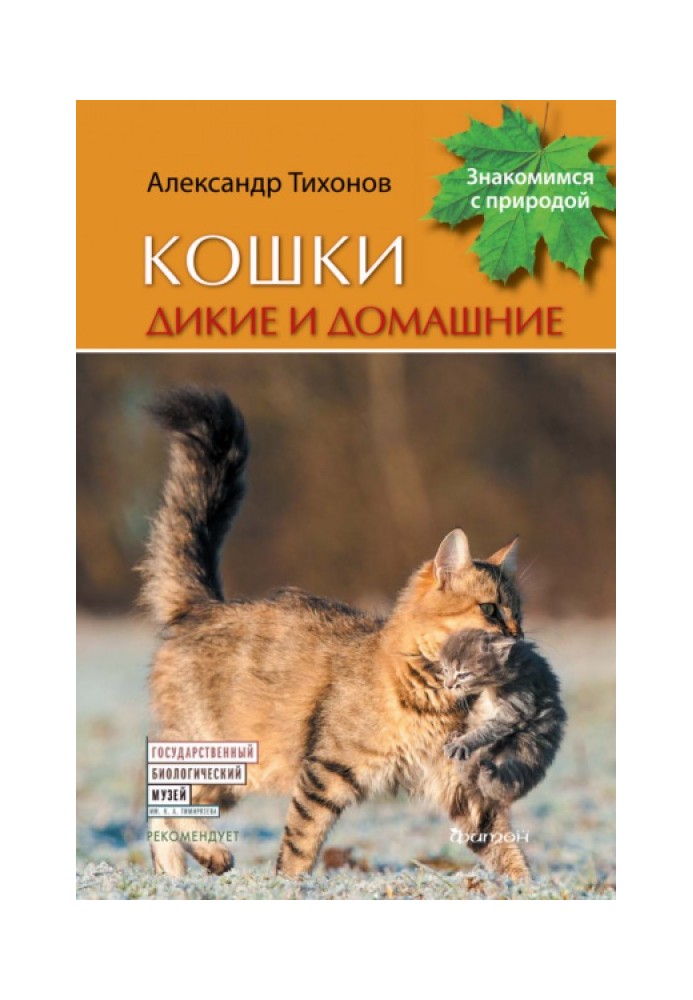 Кошки дикие и домашние