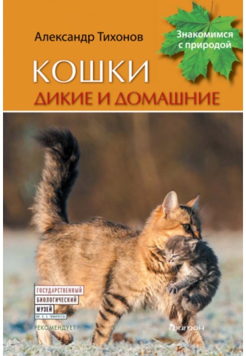 Кошки дикие и домашние