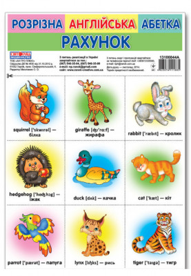 Separate English alphabet. Account