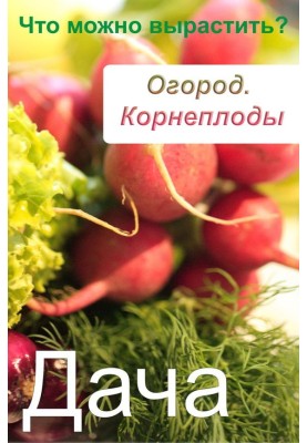 Огород. Корнеплоды. Что можно вырастить?
