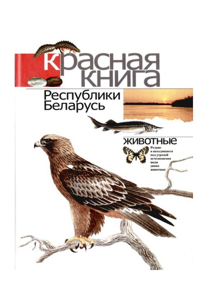 Красная книга Республики Беларусь: Редкие и находящиеся под угрозой исчезновения виды диких животных