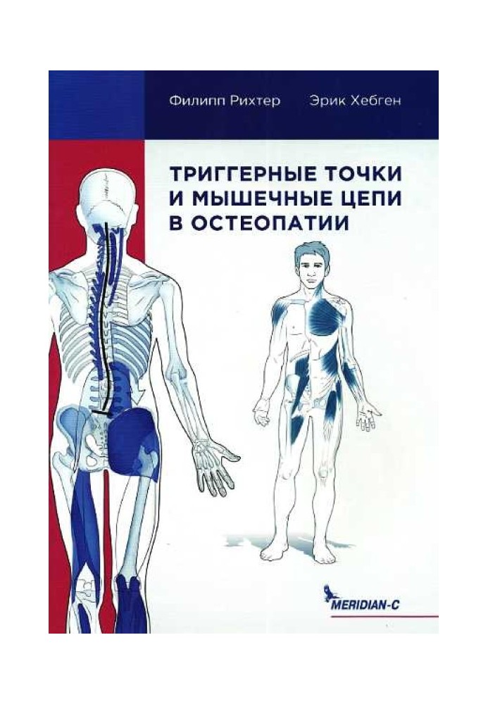 Тригерні точки та м'язові ланцюги в остеопатії